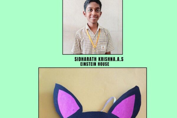 IMG_20251231_114232_411