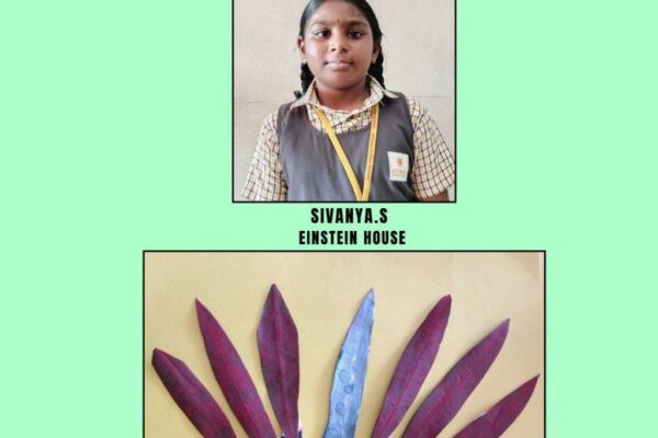 IMG_20251231_114232_480