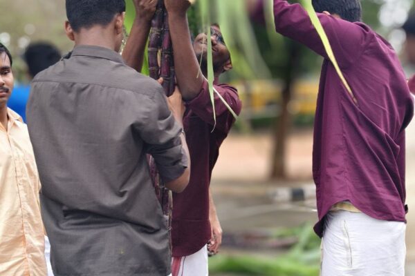 IMG_20260122_092211_288